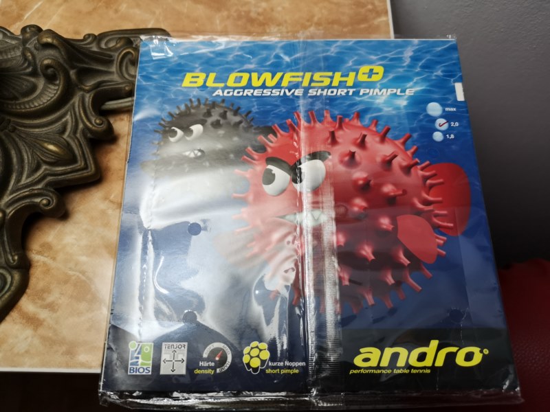 IMG_20190501_223602 [800x600].jpg