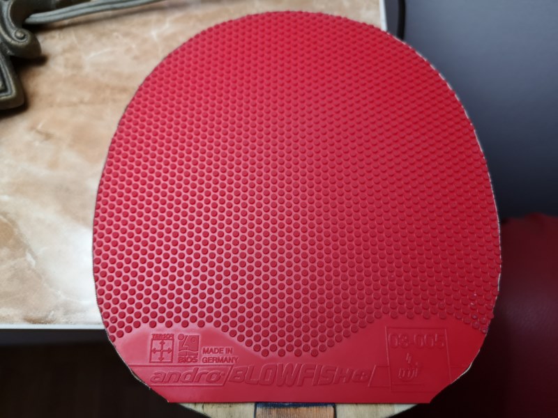 IMG_20190501_223513 [800x600].jpg