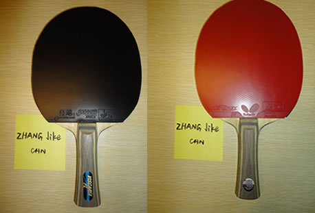 zhangbatprofile.jpg